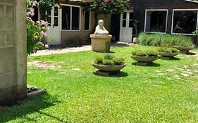 El Jardin Colonial